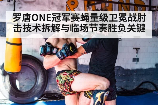 罗唐ONE冠军赛蝇量级卫冕战肘击技术拆解与临场节奏胜负关键